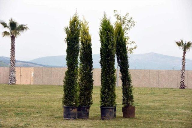 Ağapark&rsquo;ta Ağa&ccedil;landırma &Ccedil;alışması 1