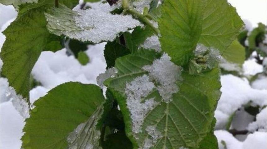 Yığılca&rsquo;da 23 Nisan Kutlamalarına Kar Engeli