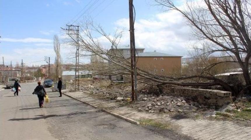 Ardahan'da Fırtına Çatıları Uçurdu, Ağaçları Yıktı