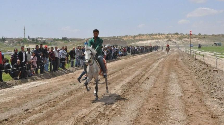 Rahvan At Yarışları İlk Kez Nizip&rsquo;te D&uuml;zenlendi