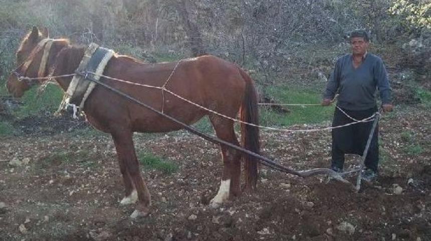 Temizlik G&ouml;revlisi, Boğazı Kesilerek &Ouml;ld&uuml;r&uuml;ld&uuml;