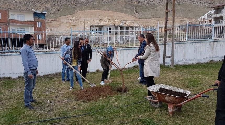 Adilcevaz&rsquo;da Fidan Dikimi