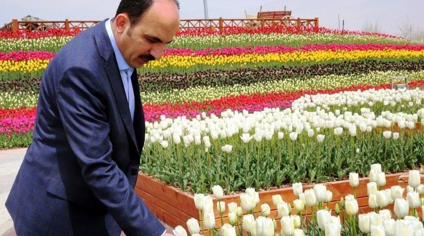 Tropikal Kelebek Bah&ccedil;esine Ziyaret&ccedil;i Akını