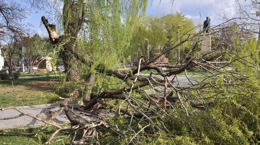 Erzincan&rsquo;da Şiddetli R&uuml;zgar Vatandaşları Evlerine Kapattı