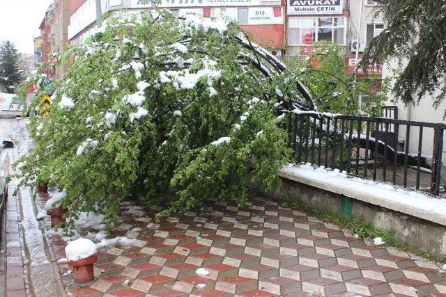 Kar; Tavşanlı’da Etkili Oldu