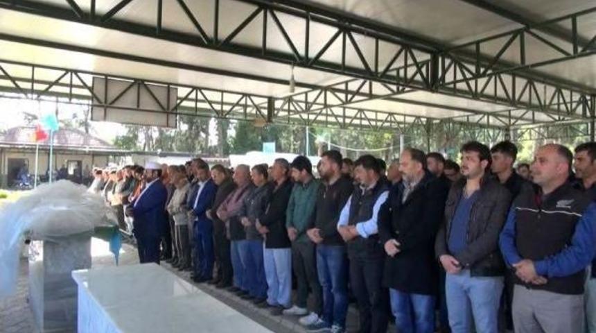 Mersin'de Fırtına Can Aldı (3)