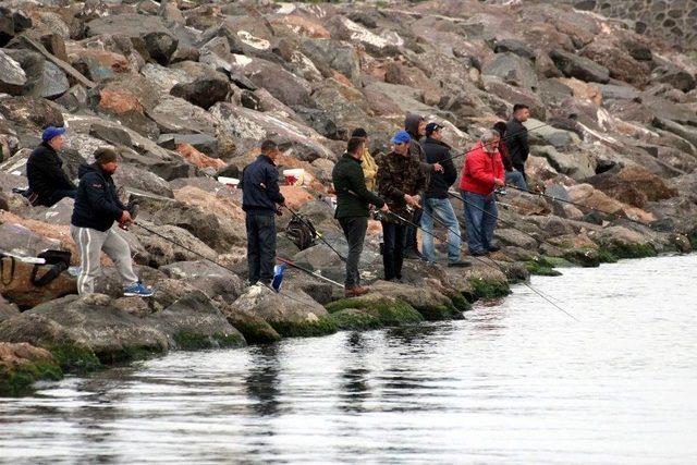 Olta Balıkçıları Av Yasağına Uyulmamasından Şikayetçi 1