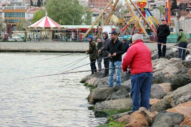 Olta Balıkçıları Av Yasağına Uyulmamasından Şikayetçi 2