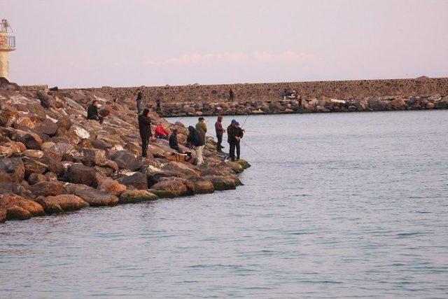 Olta Balıkçıları Av Yasağına Uyulmamasından Şikayetçi 3