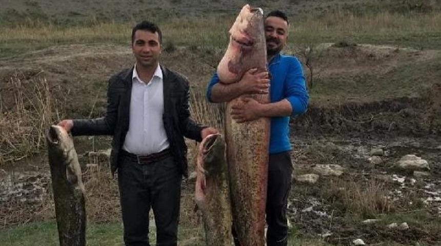 Boyundan B&uuml;y&uuml;k Balık Yakaladı