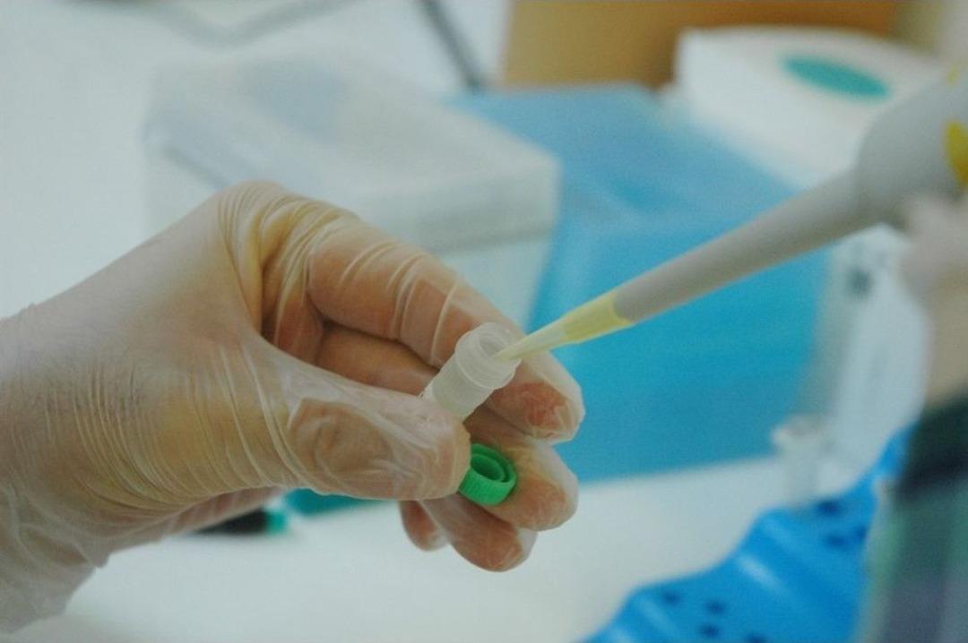 T&uuml;rk Bilim Adamlarından &lsquo;kanser Tanı Kiti&rsquo;