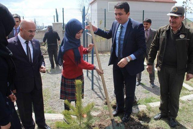 Kaymakam Keklik İle Başkan Altun Öğrencilerle Birlikte Fidan Dikti