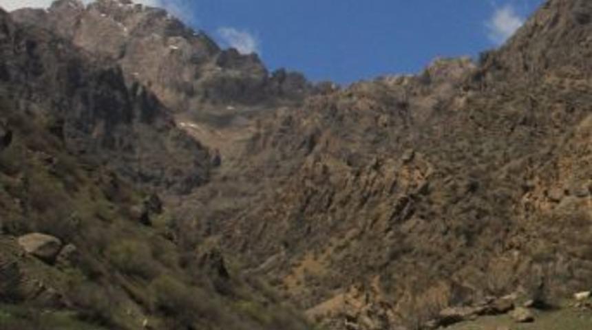 Pancar Toplarken U&ccedil;urumdan Yuvarlandı