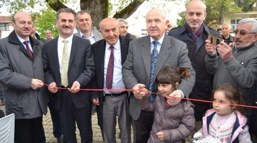 K&uuml;lliye&rsquo;nin Zeytinleri Gemlik&rsquo;ten