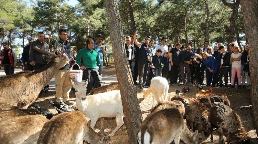 &Ccedil;ocukların, Coşkun Aral İle Foto Safari Keyfi