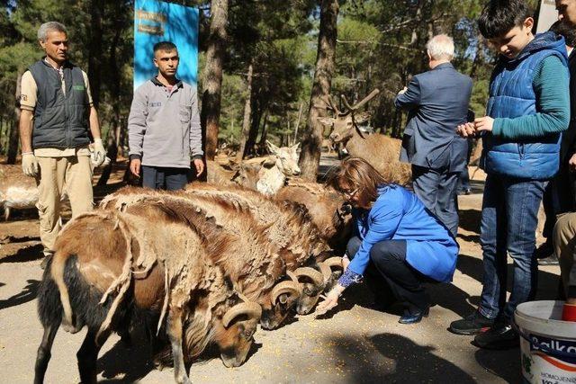 Çocukların, Coşkun Aral İle Foto Safari Keyfi