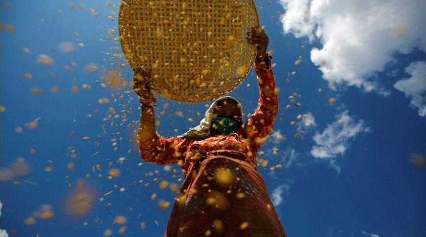 Gıda S&uuml;rd&uuml;r&uuml;lebilirliği Medya &Ouml;d&uuml;lleri Başvuruları 31 Mayıs&rsquo;ta Son Bulacak