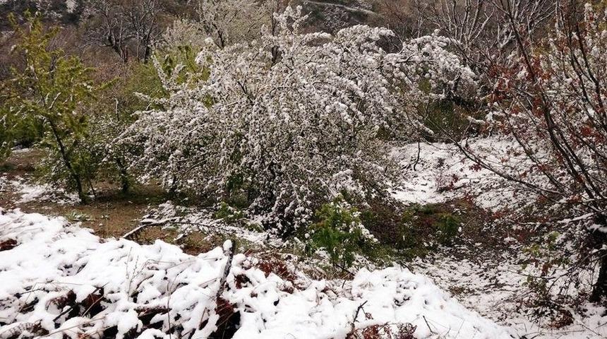 Aydın&rsquo;da Kar İle Bahar Bir Arada