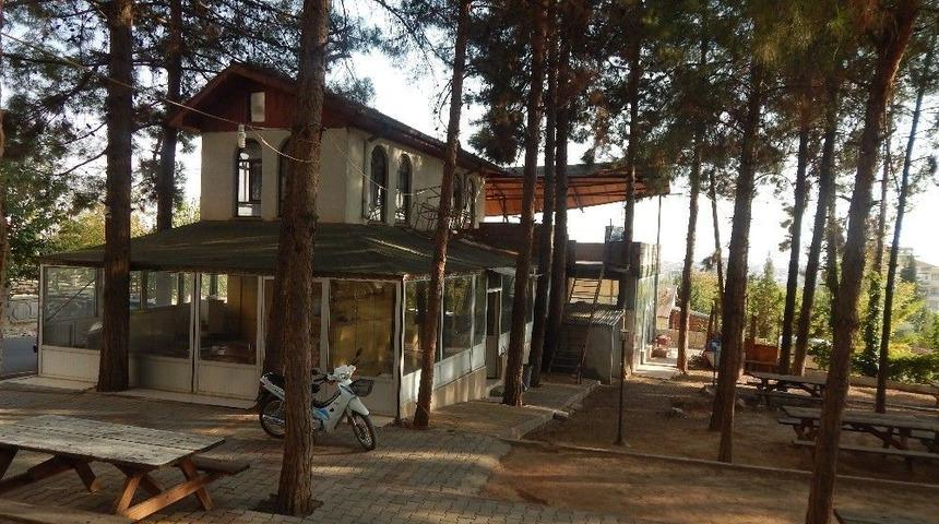 Karadağ Ve Alidağ Mesire Alanı Özel Firma Tarafından İşletilecek