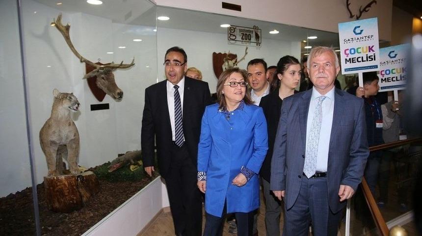 Gaziantep Hayvanat Bah&ccedil;esi&rsquo;ne Bir G&uuml;nde 90 Bin Ziyaret&ccedil;i