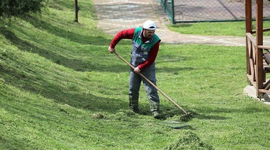 Başiskele&rsquo;de Yeşil Alan &Ccedil;alışmaları S&uuml;r&uuml;yor