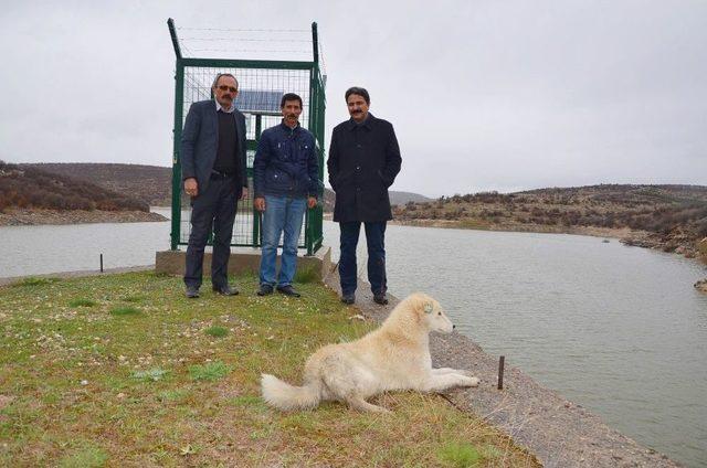 Yağışlı Hava Yüzünden Seyitgazi’de Çiftçilerin Yüzü Gülüyor