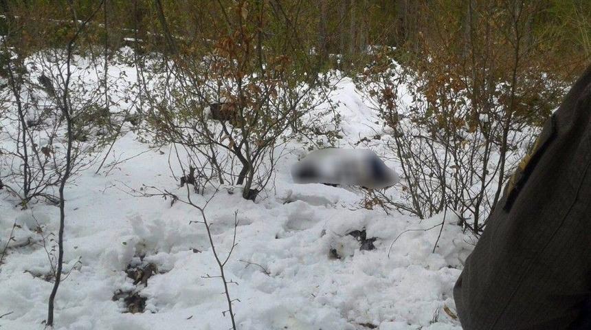 Kayıp Yaşlı Adaman Cesedi Ormanlık Alanda Bulundu