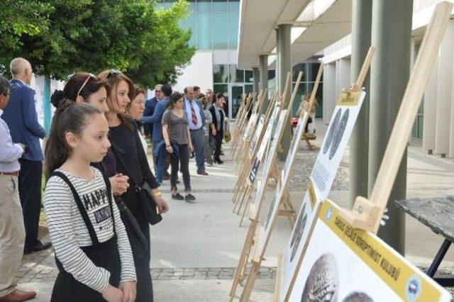 Unıcef'in İyi Niyet Elçisi’Nden Muhteşem Konser