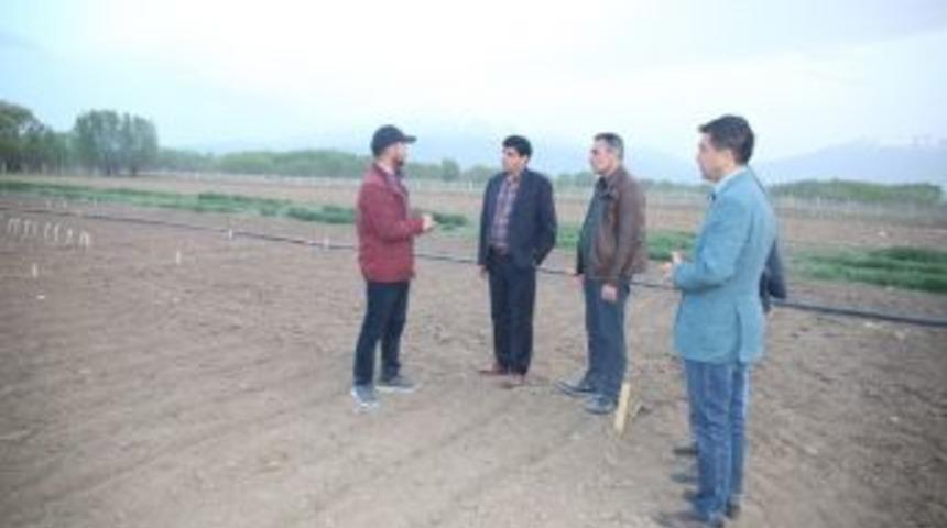 Rekt&ouml;r Alma, Uygulama Merkezinde İncelemede Bulundu