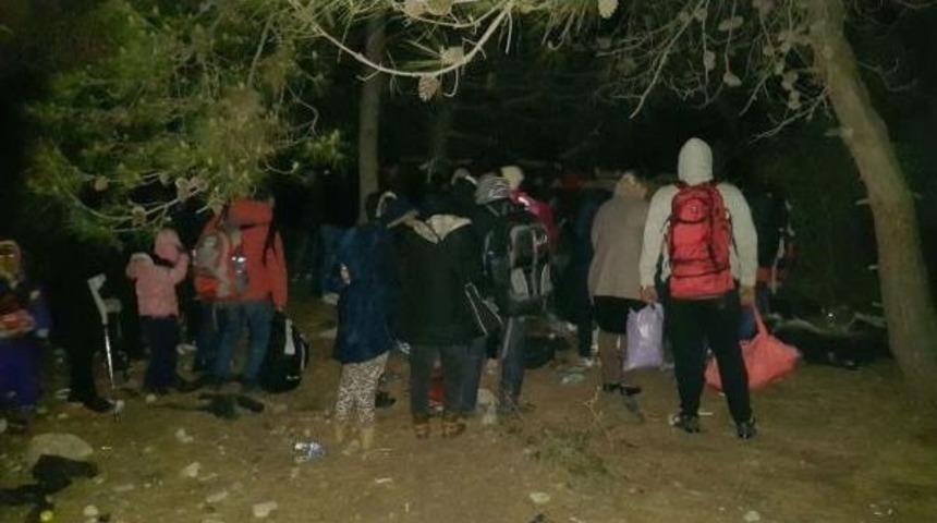 Foça'da 79 Mülteci Yakalandı