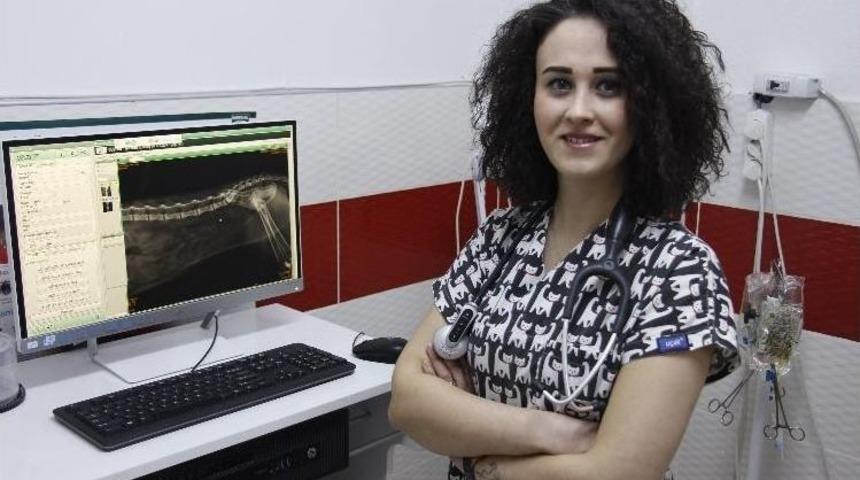 (&ouml;zel Haber) Bu Mamaları Her Yere Koymayın