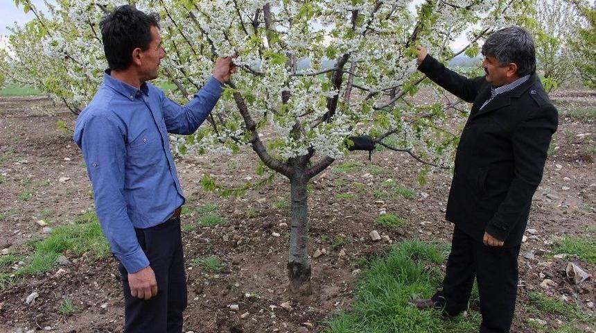 Ani Hava Değişiklikleri &Ccedil;ift&ccedil;ileri Strese Soktu