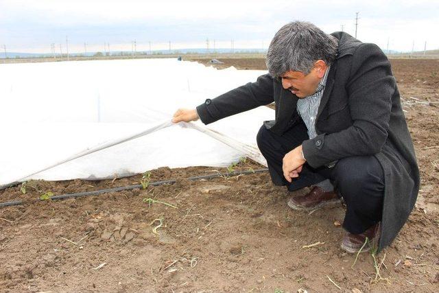 Ani Hava Değişiklikleri Çiftçileri Strese Soktu