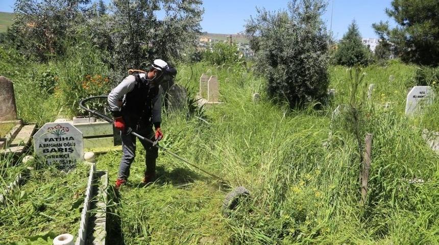 Cizre Belediyesi Asri Mezarlığında Temizleme Ve Bakım &Ccedil;alışmasını Başlattı