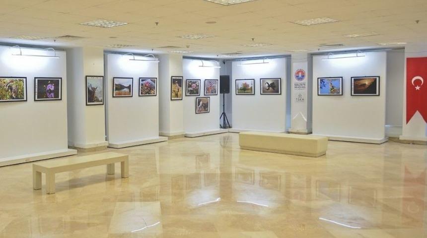 Tunceli&rsquo;nin Doğal G&uuml;zellikleri Bu Sergide