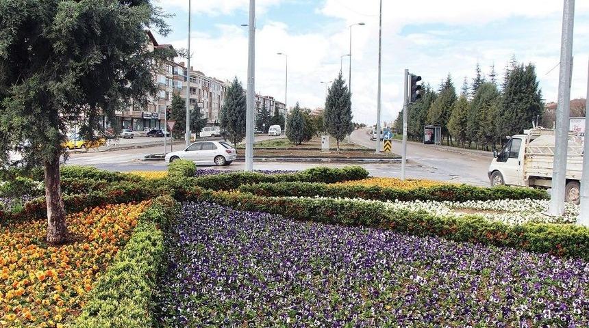 B&uuml;y&uuml;kşehir Belediyesi, Ankara&rsquo;yı 10 Milyon &Ccedil;i&ccedil;ekle Donatıyor