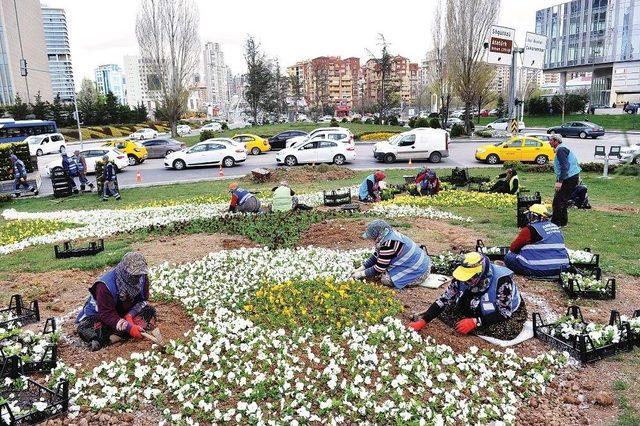 Büyükşehir Belediyesi, Ankara’yı 10 Milyon Çiçekle Donatıyor