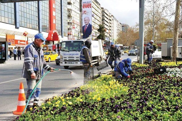 Büyükşehir Belediyesi, Ankara’yı 10 Milyon Çiçekle Donatıyor