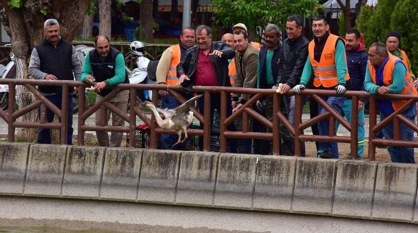 S&uuml;mer Parkın Yeni Sahipleri &Ccedil;ocuklar İle Tanışmaya Hazır