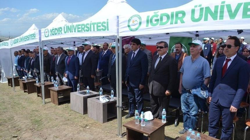 Iğdır &Uuml;niveristesi Suveren Kamp&uuml;s&uuml; Ağa&ccedil;landırılıyor