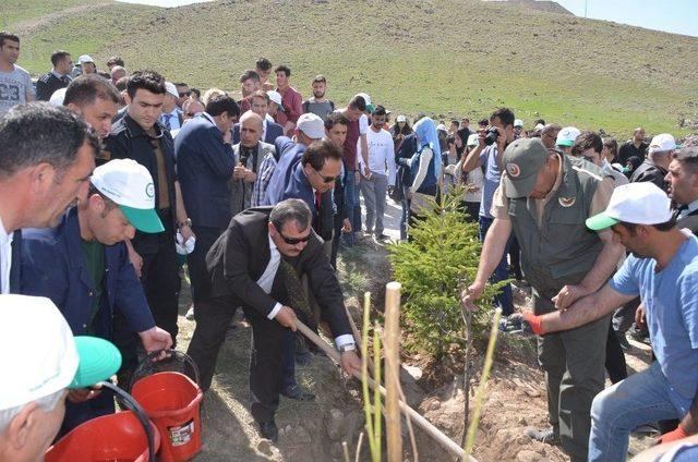 Iğdır Üniveristesi Suveren Kampüsü Ağaçlandırılıyor