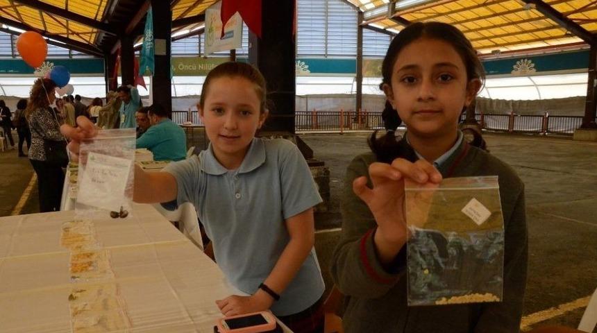 Yerli Tohumlar Nilüfer’de El Değiştirecek