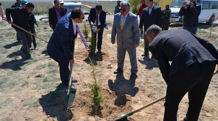 Kulu&rsquo;da 7 Bin 500 Fidan Toprakla Buluşturuldu