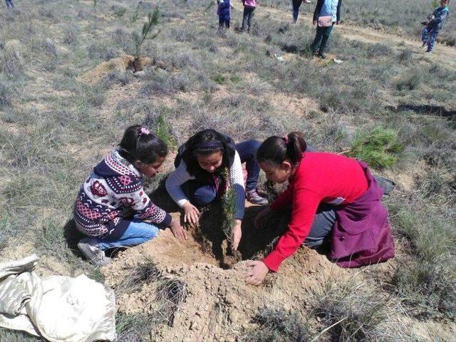 Kulu’da 7 Bin 500 Fidan Toprakla Buluşturuldu