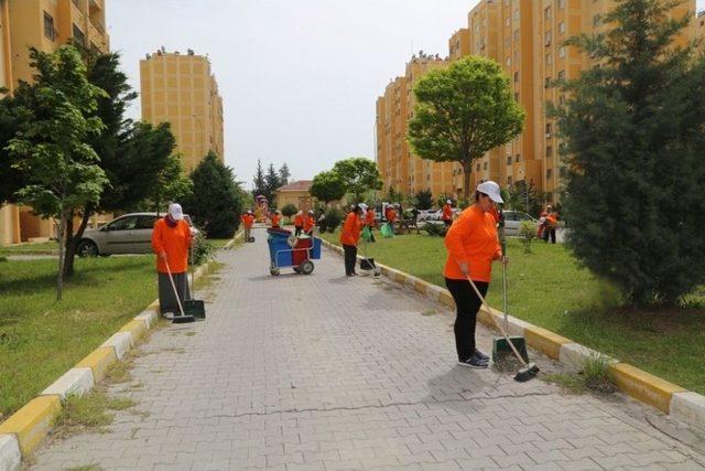 Yüreğir’de Kadınlarla Bahar Temizliği