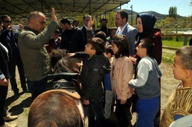 Tokat'ta Down Sendromlu Ve Otizmli Çocuklar Ata Bindi