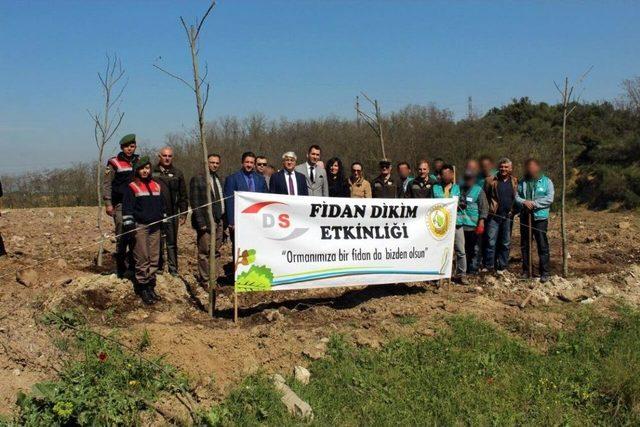 Yalova’da Hükümlüler Bin 260 Fidan Dikti