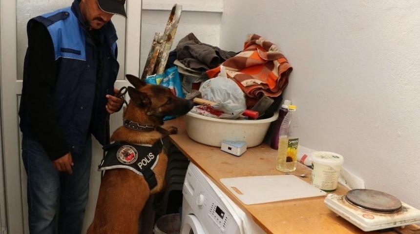 Manisa&rsquo;da Narkotik Uygulaması