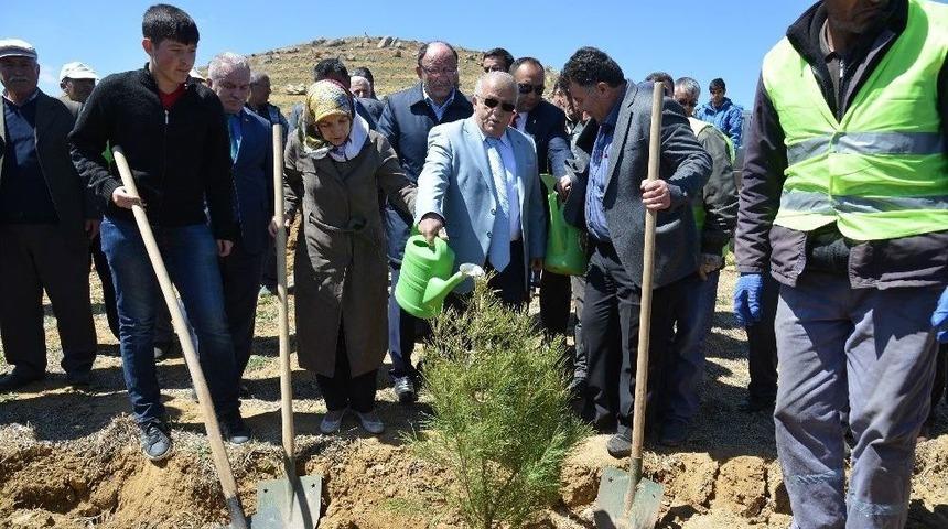 Şehit Polis G&ouml;khan &Uuml;naldı İ&ccedil;in Hatıra Ormanı Oluşturuldu