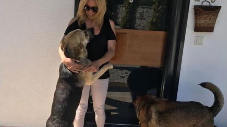 Havlayan K&ouml;peği Levyeyle D&ouml;vd&uuml;